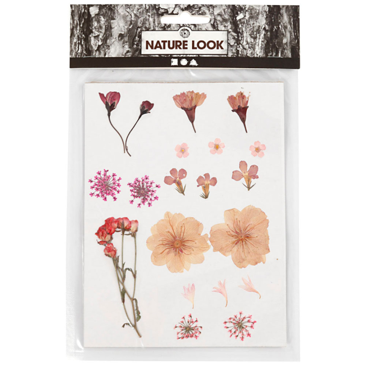 Gedroogde bloemen en bladeren Lichtroze in de groep Creëren & Hobby / Techniken / Scrapbooking bij Voorcrea (130763)