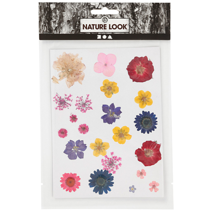 Gedroogde bloemen en bladeren Gemengde kleuren in de groep Creëren & Hobby / Techniken / Scrapbooking bij Voorcrea (130767)