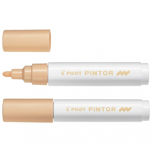 Pintor Medium Tip