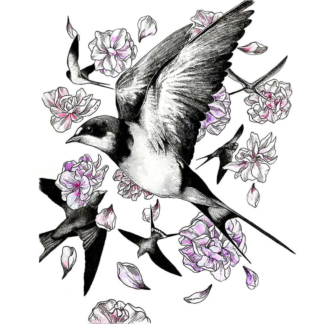 Illustration Aquarelset