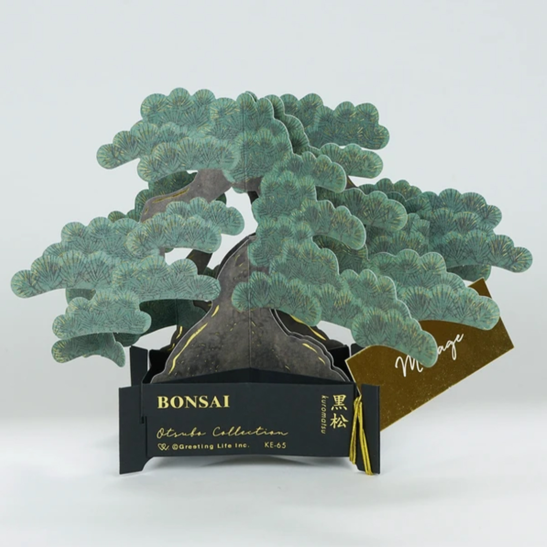 Bonsai pop-up kaart (Japanese black pine)