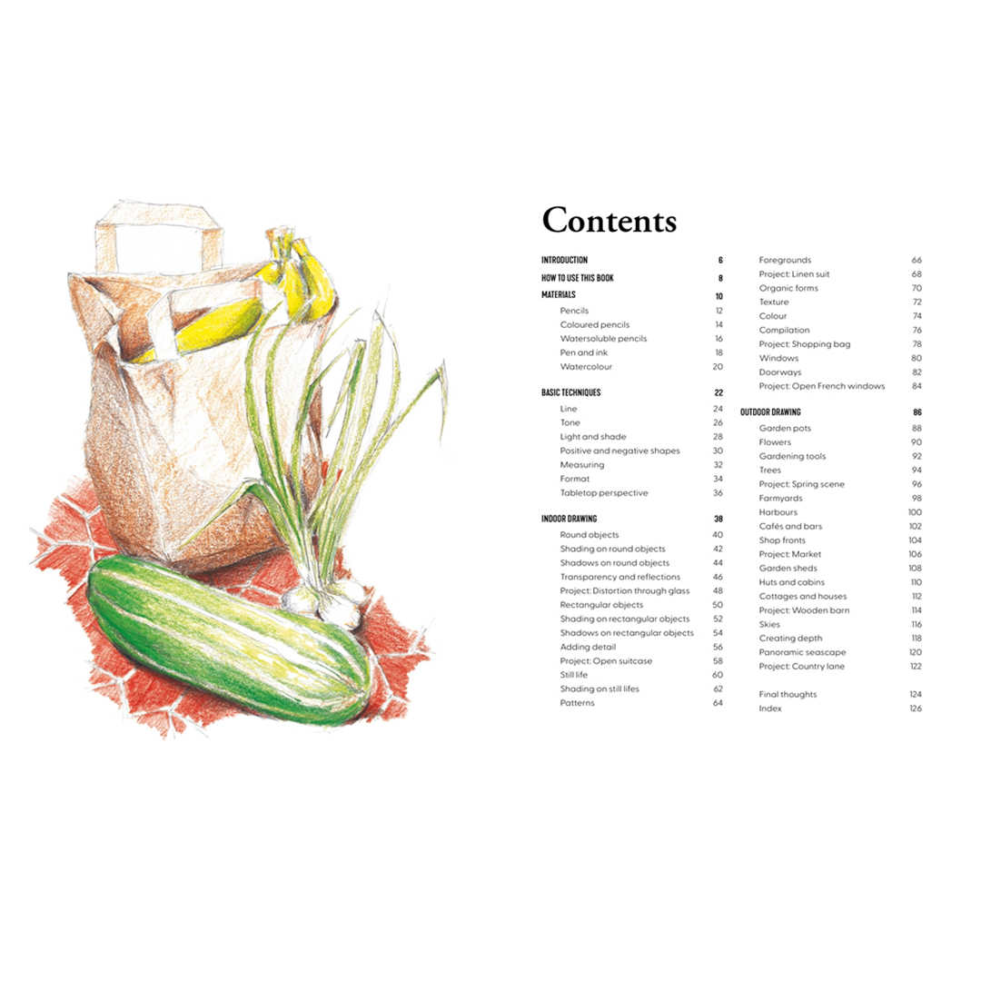 Learn to Draw in an Hour a Day