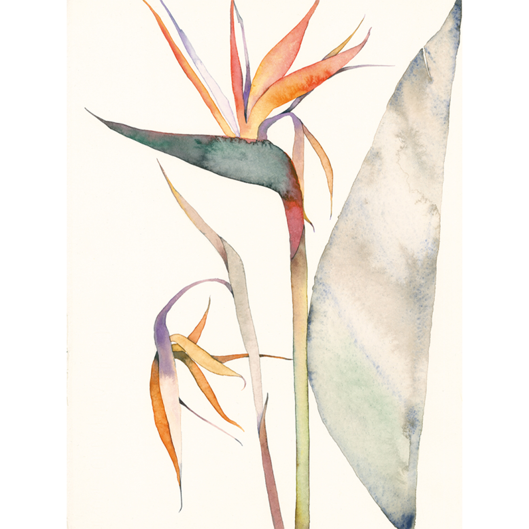 The Colour Mixing Guide: Watercolour Botanicals