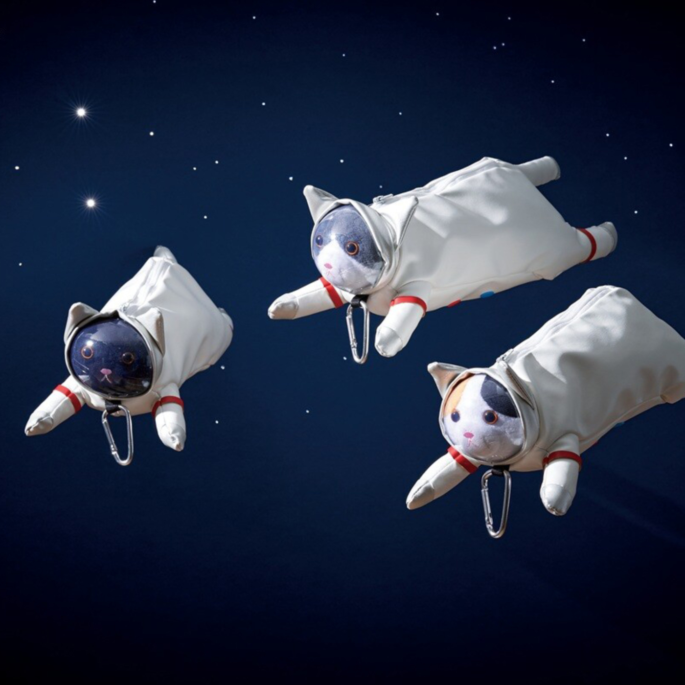 Potloodetui Astro Cat Black