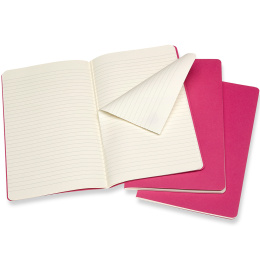 Cahier Notebook Large Pink in de groep Product series / Moleskine Cahier Collection bij Voorcrea (100333_r)