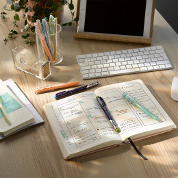 FriXion Fineliner 2GO 4-set 2 in de groep Pennen / Schrijven / Fineliners bij Voorcrea (109707)