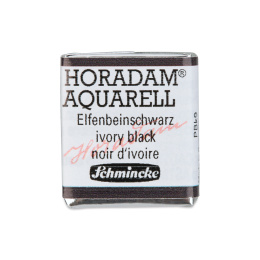 Horadam Aquarell Metal 24-set in de groep Kunstenaarsmateriaal / Kunstenaarsverf / Aquarelverf bij Voorcrea (110728)