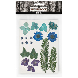 Gedroogde bloemen en bladeren Blauw in de groep Creëren & Hobby / Creëren / Scrapbooking bij Voorcrea (130762)