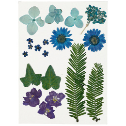 Gedroogde bloemen en bladeren Blauw in de groep Creëren & Hobby / Creëren / Scrapbooking bij Voorcrea (130762)