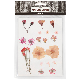 Gedroogde bloemen en bladeren Lichtroze in de groep Creëren & Hobby / Techniken / Scrapbooking bij Voorcrea (130763)