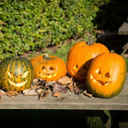 Pompoen Snijden Set 5 delen + sjablonen in de groep Creëren & Hobby / Feestdagen en seizoenen / Halloween bij Voorcrea (132630)