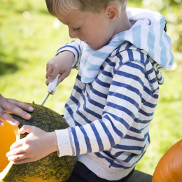 Pompoen Snijden Set 5 delen + sjablonen in de groep Creëren & Hobby / Feestdagen en seizoenen / Halloween bij Voorcrea (132630)