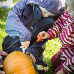 Pompoen Snijden Set 5 delen + sjablonen in de groep Creëren & Hobby / Feestdagen en seizoenen / Halloween bij Voorcrea (132630)