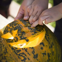 Pompoen Snijden Set 5 delen + sjablonen in de groep Creëren & Hobby / Feestdagen en seizoenen / Halloween bij Voorcrea (132630)