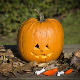 Pompoen Snijden Set 5 delen + sjablonen in de groep Creëren & Hobby / Feestdagen en seizoenen / Halloween bij Voorcrea (132630)