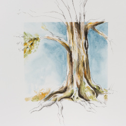 Horadam Naturals Aquarel 3x5 ml Air in de groep Kunstenaarsmateriaal / Kunstenaarsverf / Aquarelverf bij Voorcrea (133144)