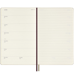 12M Weekly Notebook Hardcover 2025 Large Harry Potter in de groep Papier & Blokken / Kalenders en agenda's / 12 maanden agenda's bij Voorcrea (133815)