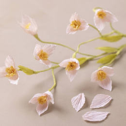 DIY-pakket Papieren bloemen Kersenbloesem in de groep Creëren & Hobby / Creëren / Knutselen en DIY bij Voorcrea (134829)