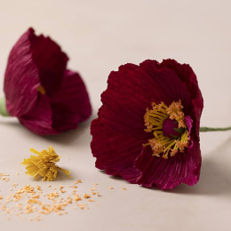 DIY-pakket Papieren bloemen Klaprozen in de groep Creëren & Hobby / Creëren / Knutselen en DIY bij Voorcrea (134833)