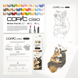 Ciao Layer & Mix 2D Starter Set Pet in de groep Pennen / Kunstenaarspotloden en -stiften / Illustratiemarkers bij Voorcrea (135133)