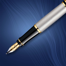 Expert Steel/Gold Vulpen in de groep Pennen / Fine Writing / Vulpennen bij Voorcrea (135459_r)