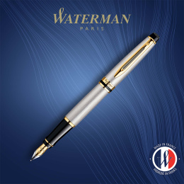 Expert Steel/Gold Vulpen in de groep Pennen / Fine Writing / Vulpennen bij Voorcrea (135459_r)