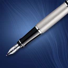Expert Steel Vulpen Medium in de groep Pennen / Fine Writing / Vulpennen bij Voorcrea (135462)