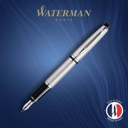 Expert Steel Vulpen Medium in de groep Pennen / Fine Writing / Vulpennen bij Voorcrea (135462)