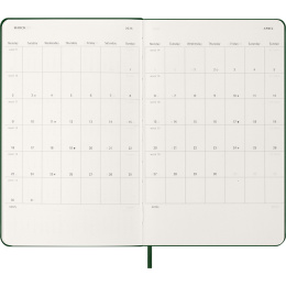 Kalender 12M Daily 2026 Hardcover Large Myrtle Green in de groep Papier & Blokken / Kalenders en agenda's / 12 maanden agenda's bij Voorcrea (136083)
