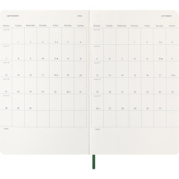Kalender 12M Daily 2026 Softcover Large Myrtle Green in de groep Papier & Blokken / Kalenders en agenda's / 12 maanden agenda's bij Voorcrea (136088)