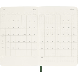Kalender 12M Daily 2026 Softcover Pocket Myrtle Green in de groep Papier & Blokken / Kalenders en agenda's / 12 maanden agenda's bij Voorcrea (136089)