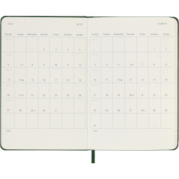 Kalender 12M Daily 2026 Hardcover Pocket Myrtle Green in de groep Papier & Blokken / Kalenders en agenda's / 12 maanden agenda's bij Voorcrea (136092)