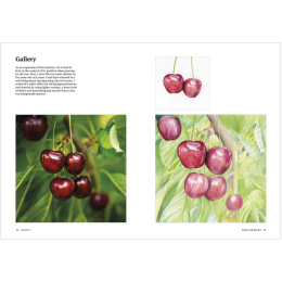 How to Draw a Tree: from the Fruit to the Forest in de groep Creëren & Hobby / Boeken / Instructieboeken bij Voorcrea (136291)