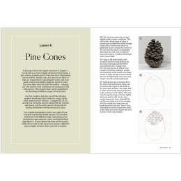 How to Draw a Tree: from the Fruit to the Forest in de groep Creëren & Hobby / Boeken / Instructieboeken bij Voorcrea (136291)