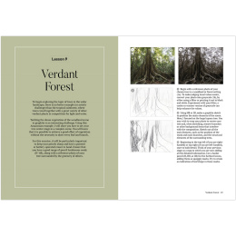 How to Draw a Tree: from the Fruit to the Forest in de groep Creëren & Hobby / Boeken / Instructieboeken bij Voorcrea (136291)