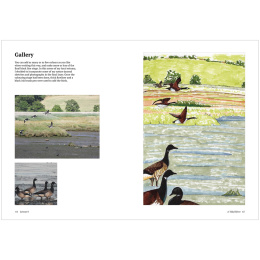 How to Draw a River: from the Source to the Sea in de groep Creëren & Hobby / Boeken / Instructieboeken bij Voorcrea (136292)