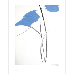 The Art of Sumi-e in de groep Creëren & Hobby / Boeken / Inspiratieboeken bij Voorcrea (136293)