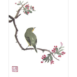 The Art of Sumi-e in de groep Creëren & Hobby / Boeken / Inspiratieboeken bij Voorcrea (136293)