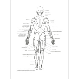Figure Drawing: A Complete Guide in de groep Creëren & Hobby / Boeken / Inspiratieboeken bij Voorcrea (136294)