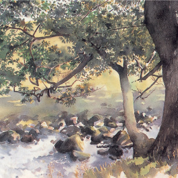 The Watercolour Artist's Bible in de groep Creëren & Hobby / Boeken / Instructieboeken bij Voorcrea (136295)