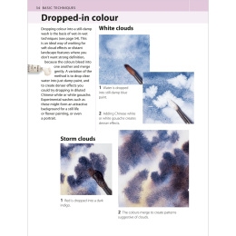 The Watercolour Artist's Bible in de groep Creëren & Hobby / Boeken / Instructieboeken bij Voorcrea (136295)