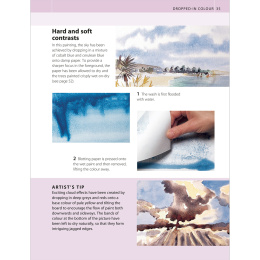 The Watercolour Artist's Bible in de groep Creëren & Hobby / Boeken / Instructieboeken bij Voorcrea (136295)