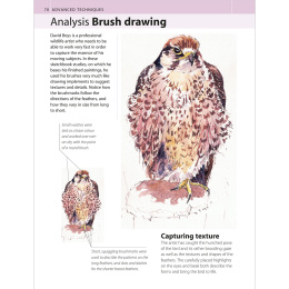 The Watercolour Artist's Bible in de groep Creëren & Hobby / Boeken / Instructieboeken bij Voorcrea (136295)