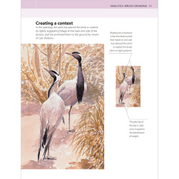 The Watercolour Artist's Bible in de groep Creëren & Hobby / Boeken / Instructieboeken bij Voorcrea (136295)