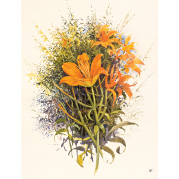 The Art of Gouache in de groep Creëren & Hobby / Boeken / Instructieboeken bij Voorcrea (136297)