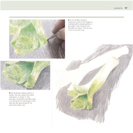 The Encyclopedia of Coloured Pencil Techniques in de groep Creëren & Hobby / Boeken / Instructieboeken bij Voorcrea (136298)