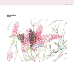 The Encyclopedia of Coloured Pencil Techniques in de groep Creëren & Hobby / Boeken / Instructieboeken bij Voorcrea (136298)