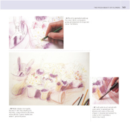 The Encyclopedia of Coloured Pencil Techniques in de groep Creëren & Hobby / Boeken / Instructieboeken bij Voorcrea (136298)