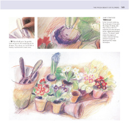 The Encyclopedia of Coloured Pencil Techniques in de groep Creëren & Hobby / Boeken / Instructieboeken bij Voorcrea (136298)