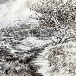 The Innovative Artist: Drawing Dramatic Landscapes in de groep Creëren & Hobby / Boeken / Instructieboeken bij Voorcrea (136302)